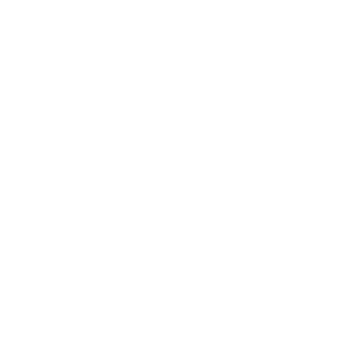 FAST NIGHTS