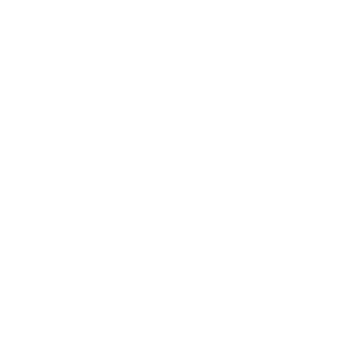 NIGHT RUNNER