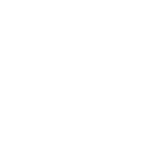 DREAM CATCHER
